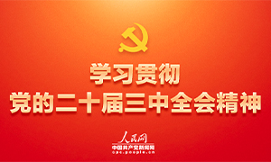 学习贯彻党的二十届三中全会